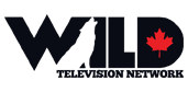 wild_media Wild television network logo