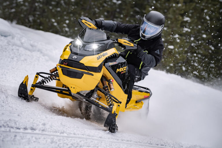 Woody’s NAVIGATOR Ski Protector