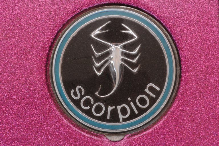 Scorpion Sold On Rubber Scorpion Sold On Rubber
