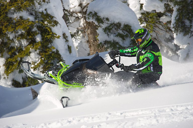 CAT’S FUTURE IN THE SLED BIZ CAT’S FUTURE IN THE SLED BIZ