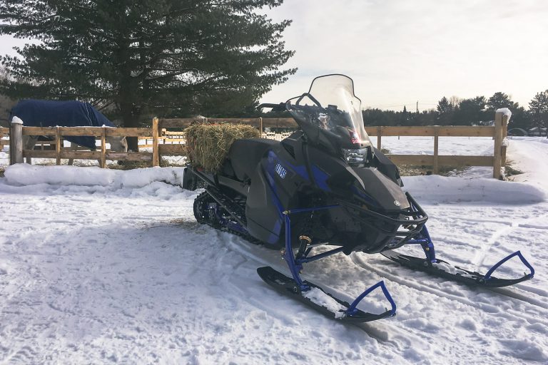 2021 YAMAHA TRANSPORTER LITE