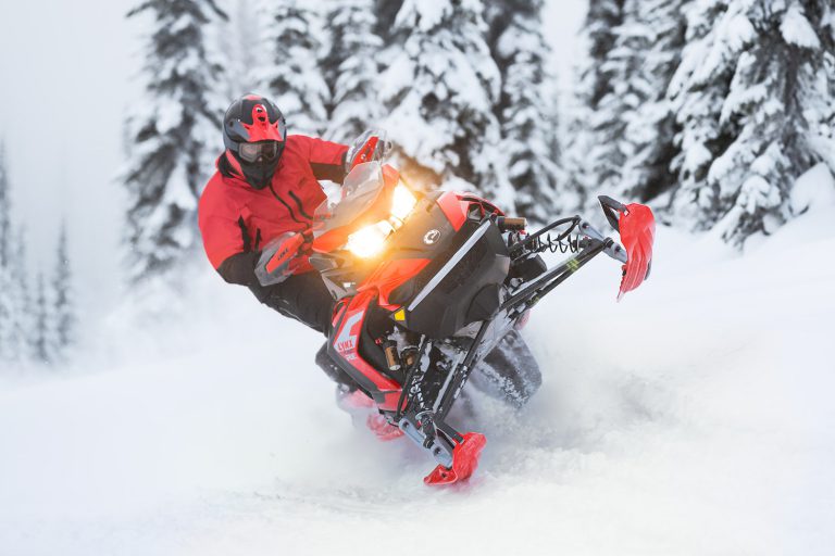 LYNX COMES TO NORTH AMERICA LYNX COMES TO NORTH AMERICA