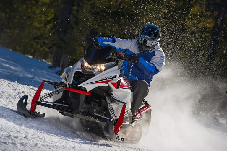 THE NEW VIPER THE NEW VIPER